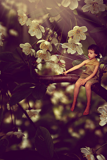 Flowers, Magic, Miscellanea, Miscellaneous, Branch, hop, Child, Ant HD phone wallpaper