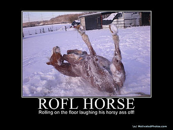 ice horse, horse, ice HD wallpaper