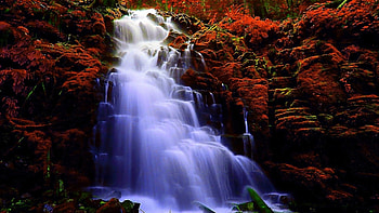 Autumn Waterfall, leaves, Fall, waterfall, Autumn, water, rocks, foliage HD wallpaper
