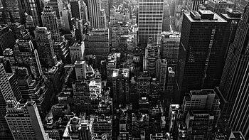 Sin City, l, i, n, r, o HD wallpaper