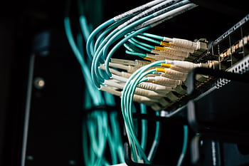 Detailed view of network cables plugged into a server rack in a data center. HD wallpaper