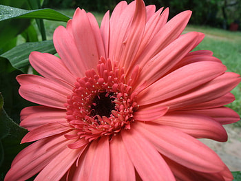 talk to me, beatiful, salam, spring, seren HD wallpaper