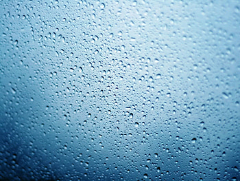 Drops, Macro, Wet, Surface, Humid HD wallpaper