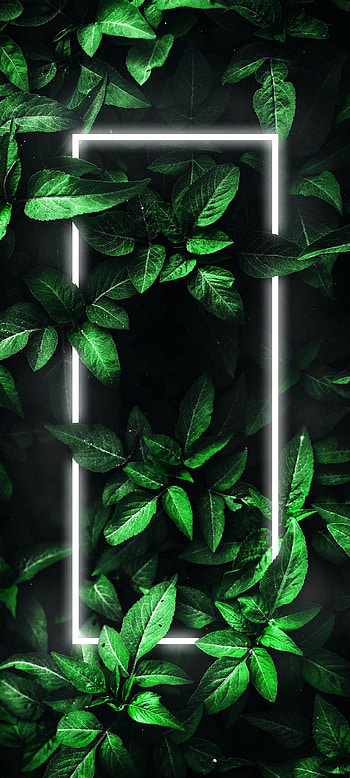 Border AMOLED Neon Black, Neon Plants HD phone wallpaper
