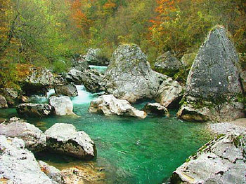 forest stream, river, nature, forest, stream HD wallpaper