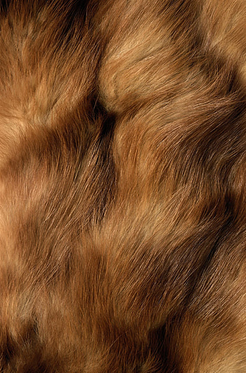 Textured fur, Brown fur, Abstract artwork, Detailed pattern HD phone wallpaper