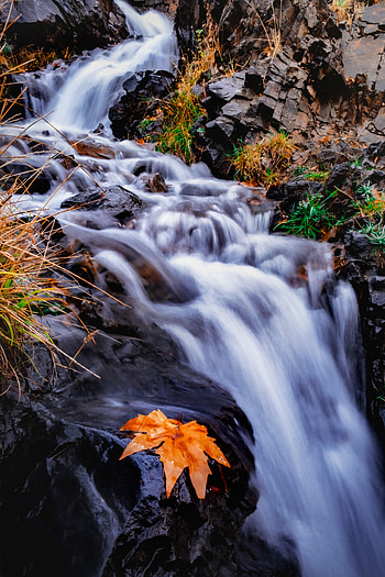 Nature, Water, Rivers, Grass, Leaflet, Creek, Brook HD phone wallpaper