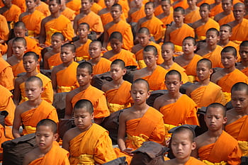 A large gathering of young monks in orange robes meditating peacefully in an outdoor ceremony. HD wallpaper