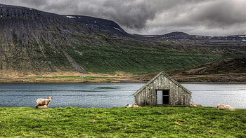 the sheep and the lonely house, house, sheep, grass, lake, mountain HD wallpaper