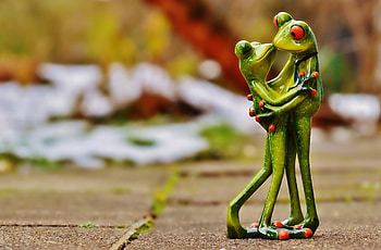 ℛomancℯ , Funny, Froggy, Kiss, Romance, Love, Frogs HD wallpaper