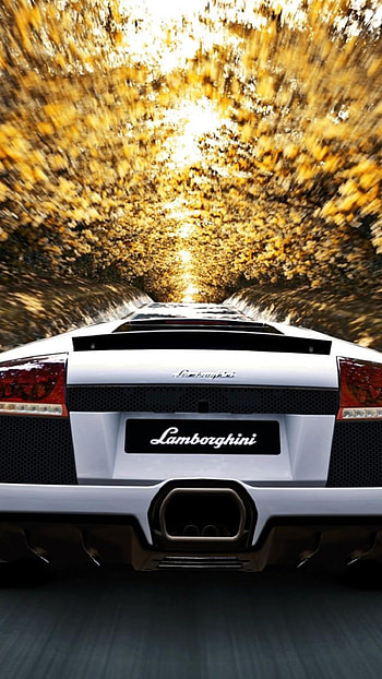 Lamborghini Car, Lamborghini, Nature Background HD phone wallpaper