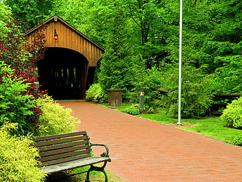 Covered bridge, covered, bench, green, trees, bridge, beautiful, nature, forest HD wallpaper