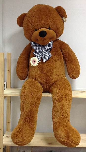 Teddy Bear Wale, Sitting, Teddy Bear HD phone wallpaper
