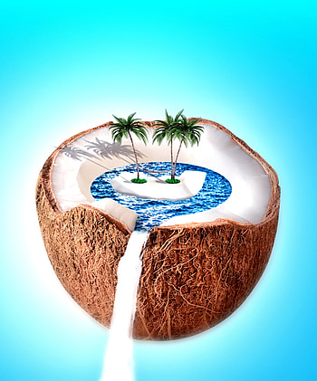 Coconut, sea, palm tree, vacation, digital art, dream HD phone wallpaper