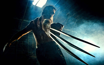 Wolverine skeleton, Dark background, Mysterious, Enigmatic HD wallpaper