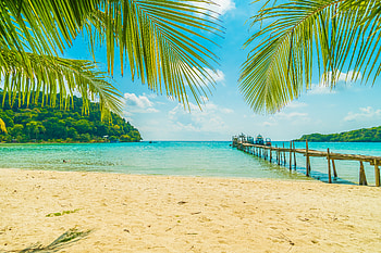 Paradise island, Palms, Tropical, Sand, Sea, Beach HD wallpaper