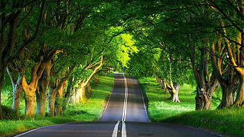 Top Beautiful Places . Colorful HD wallpaper