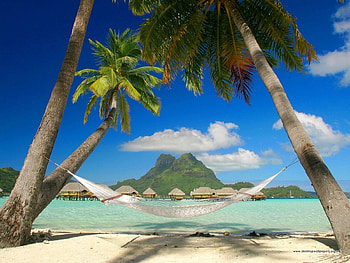 Landscape, Trees, Beach, Palms HD wallpaper