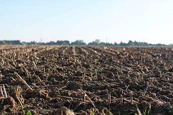 A close-up of a freshly plowed farmland in springtime, ready for new crops. HD wallpaper