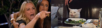 Woman Yelling at a Cat (meme) : multiwall, Dual Monitor Cat HD wallpaper