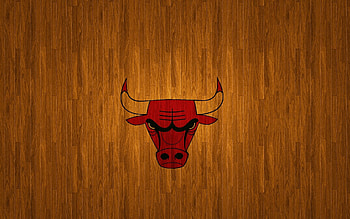 Chicago Bulls, Sports team, , Hintergrnde HD wallpaper