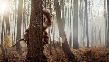 Where the Wild Things Are (2022) movie HD wallpaper