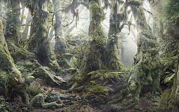 Nature, Trees, Shine, Light, Fern, Forest, Vegetation, Moss, Roots, Thicket, Thickets, Dense HD wallpaper