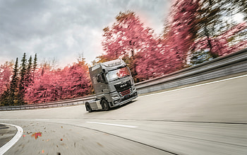 MAN TGX Individual Lion S, 2021, front view, exterior, new gray MAN TGX, tuning MAN TGX, race track, German trucks, MAN HD wallpaper