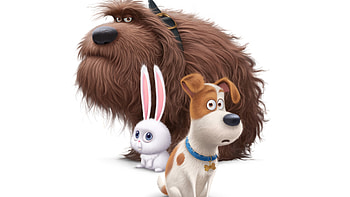 The Secrete Life of Pets Movie Dogs, the-secret-life-of-pets, movies, animated-movies, cartoons, 2016-movies HD wallpaper