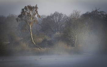 Foggy Lake, fog, water, morning, lake HD wallpaper