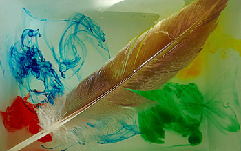 Feather, Bright, Miscellanea, Miscellaneous, Paint, Pen HD wallpaper