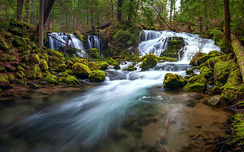 Pearsony Falls, Oregon, river, trees, cascades, forest, stones, usa HD wallpaper