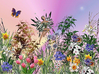 Fairy, abstract, butterfly, fantasy, flowers HD wallpaper