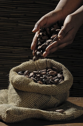Close-up of hands pouring fresh coffee beans into a rustic burlap sack indoors. HD phone wallpaper