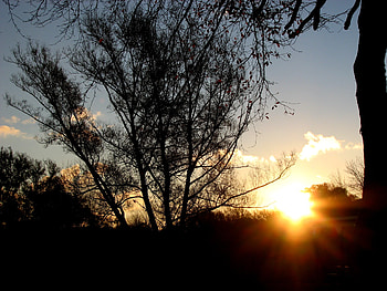 morning breaks brightly, autumn, ohio, colors, sunrise HD wallpaper