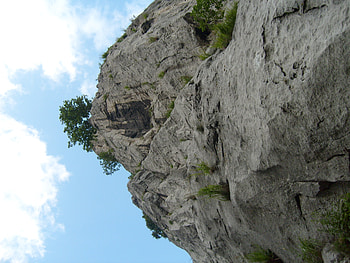 Lonely Tree, graphy, rocks, nice, tree, mountain, one, bulgaria, clouds, nature, sky HD wallpaper