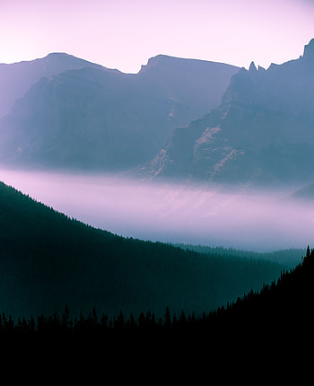 Nature, Trees, Sky, Mountains, Forest, Fog, Outlines HD phone wallpaper
