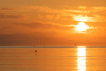 Nature, Sunset, Sea, Sun, Clouds, Reflection HD wallpaper