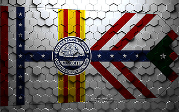 Flag of Tampa, Florida, honeycomb art, Tampa hexagons flag, Tampa, 3d hexagons art, Tampa flag HD wallpaper