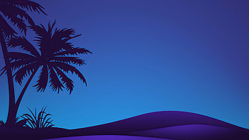 Night Time Desert, Enchanting darkness, Shimmering stars, Mystic beauty HD wallpaper