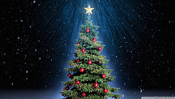 ... holidays ; clic christmas tree high ... HD wallpaper