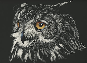 Owl Painting , owl, painting, animals, monochrome, black-and-white HD wallpaper