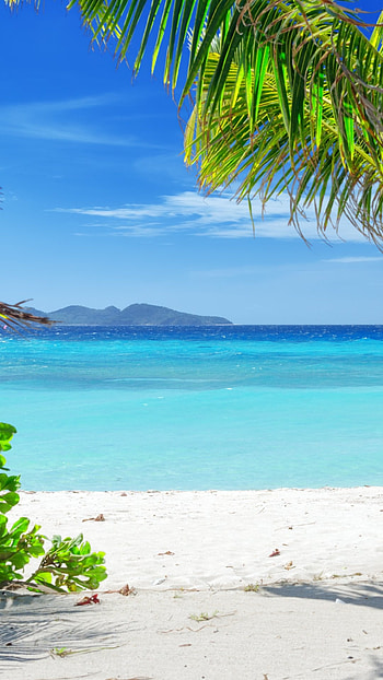 Earth beach, Grenada, Travels expert, Caribbean HD phone wallpaper