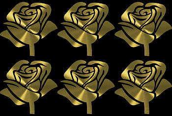 Golden roses, golden, rose, roses, labrano, gizzzi HD wallpaper
