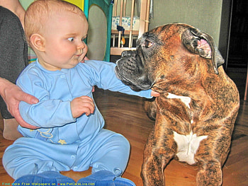 LOOK A LIKES FOR SURE, similiar, faces, cute, adorable, look HD wallpaper