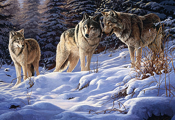 Strategy, wolves, snow, wolfpack, winter, artwork, painting HD wallpaper