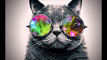 Trippy Cat HD wallpaper
