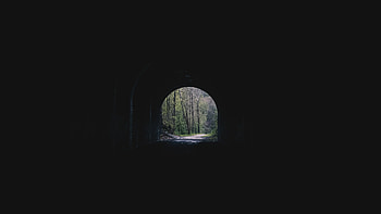 Alley, Trees, Dark, Arch, Tunnel HD wallpaper
