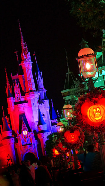 All the graphs are taken by me, on our previous holidays to Walt Disney World. I've made several other Disney which you can also ... HD phone wallpaper
