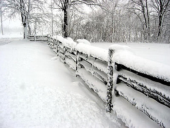 Snow Laden Cedar Rail Fence, winter, trees, snow, fence HD wallpaper